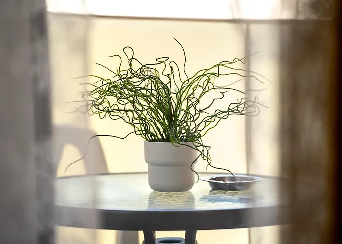 Elegant Nest One